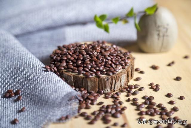 酸枣仁最新价格概览与动态分析