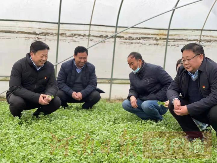 开封招工最新动态，变化中的机遇与学习铸就自信之路