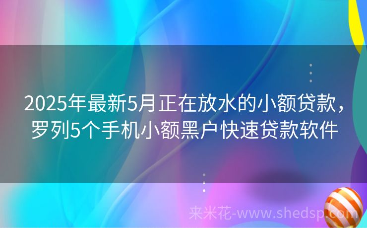 2025年小额贷款信息详解，申请、理解与利用步骤指南