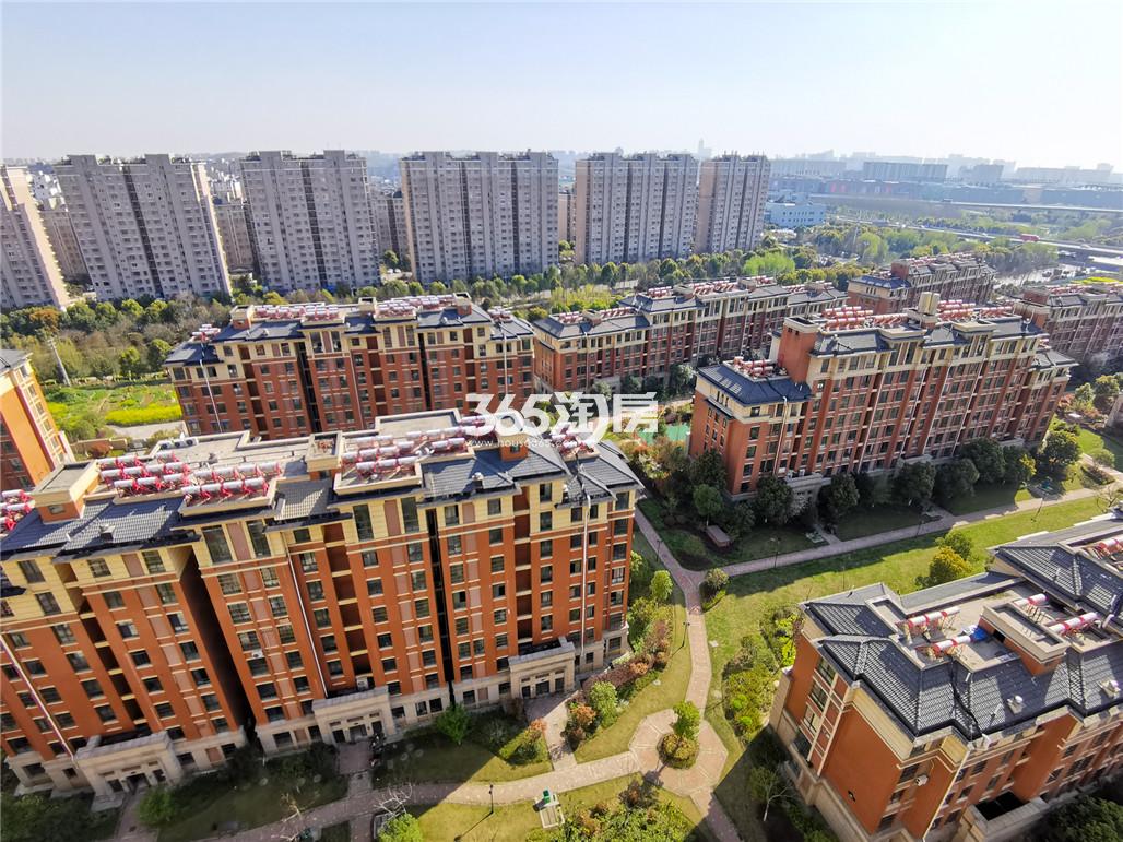 芜湖东紫园小巷中的隐藏宝藏，特色小店的独特魅力最新报道