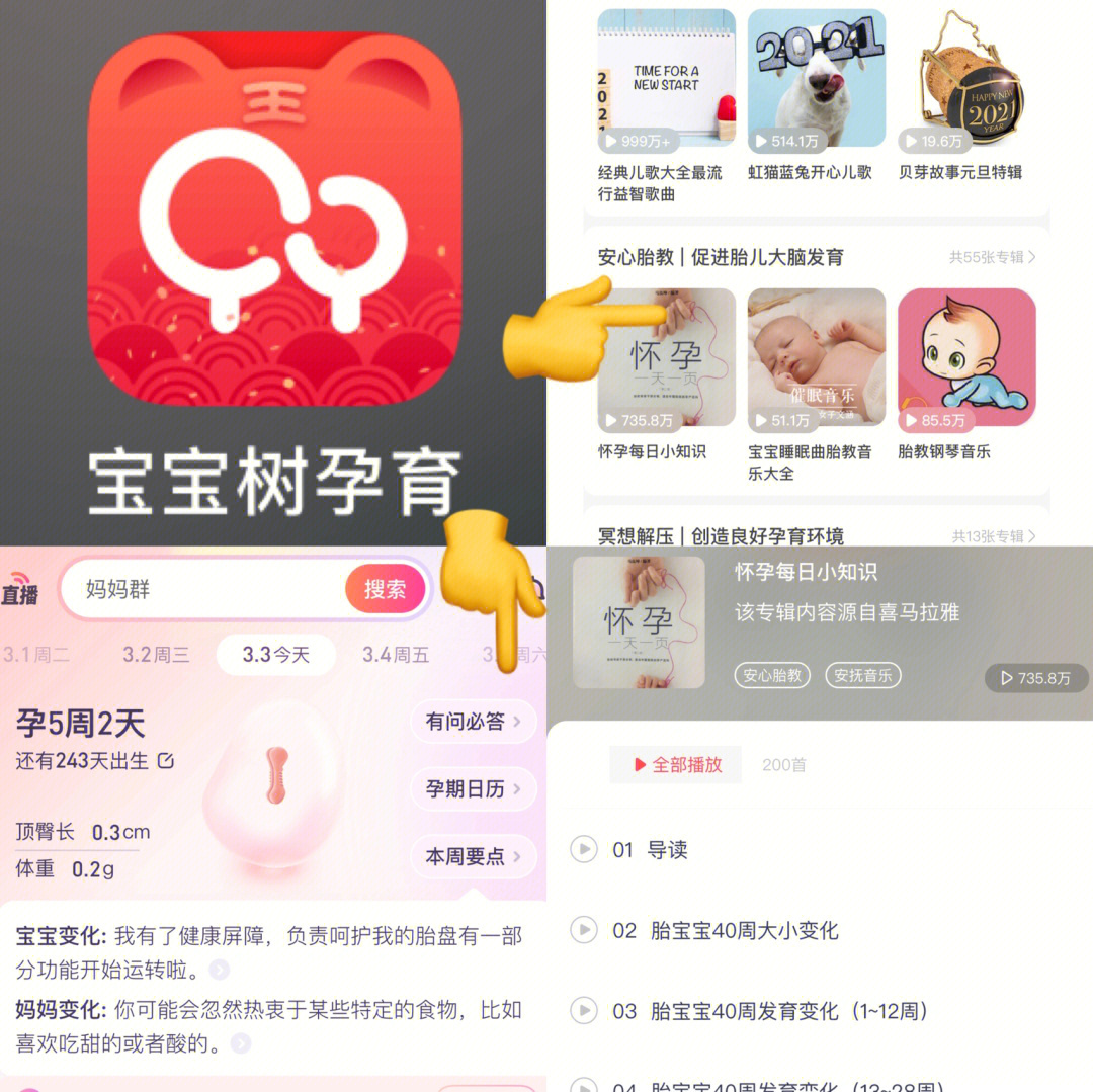 宝宝树孕育下载最新版，探索自然美景，寻找内心平和的孕育之旅