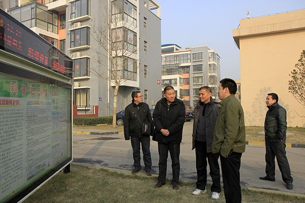 石家庄元氏县最新命案，深度解析与关注焦点